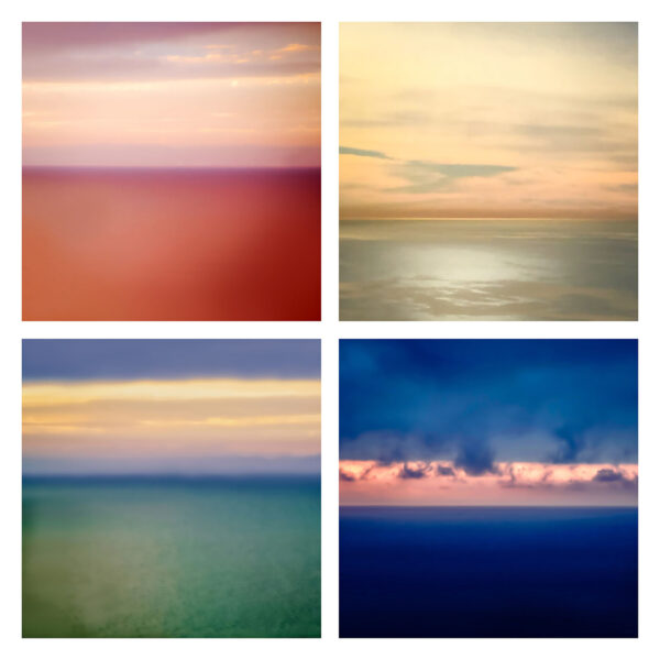 Grid Summer Succession